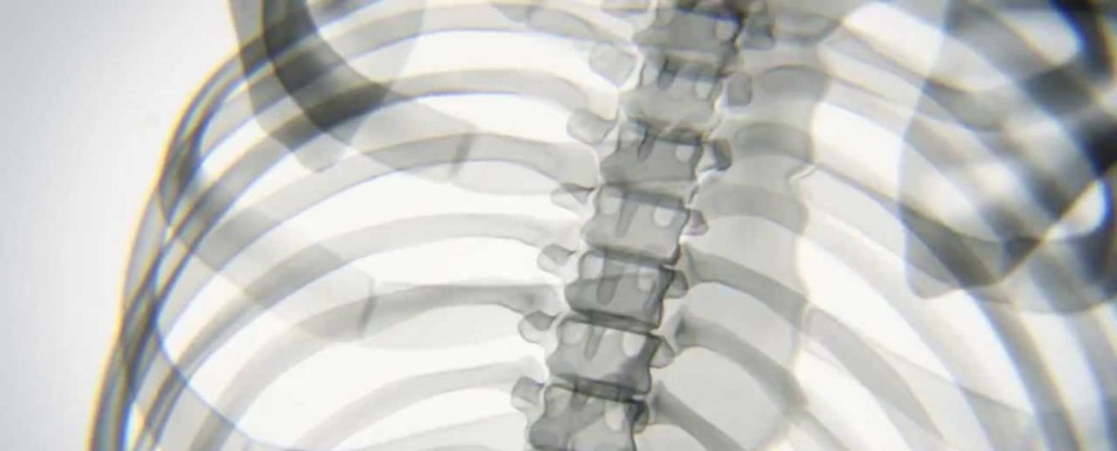 spine align chiropractic center